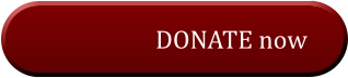 DONATE now DONATE now