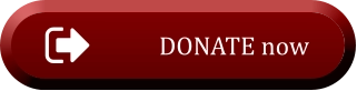 DONATE now  DONATE now